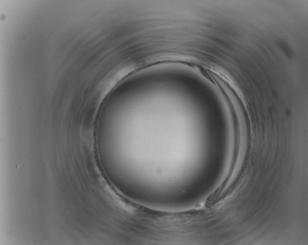 X0000063530898200601271858