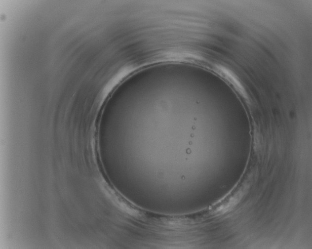 X0000063530899200601271858