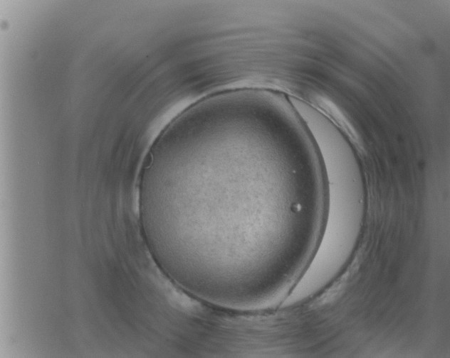 X0000063530900200601271858