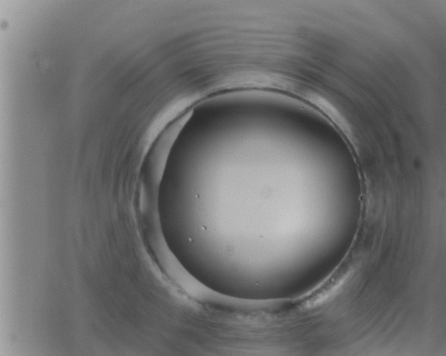 X0000063530901200601271858