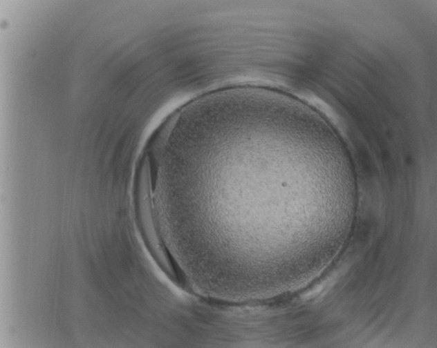 X0000063530902200601271858