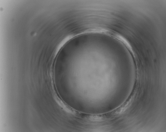 X0000063530907200601271858