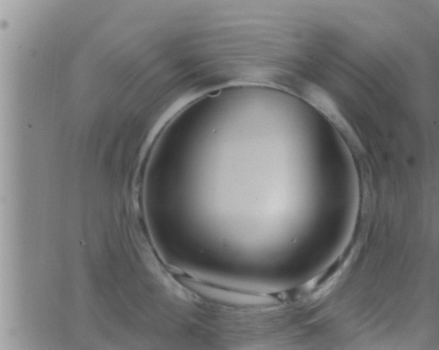 X0000063530908200601271858