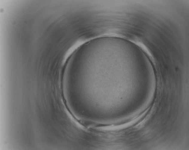 X0000063530910200601271858