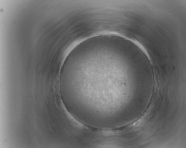 X0000063530911200601271858