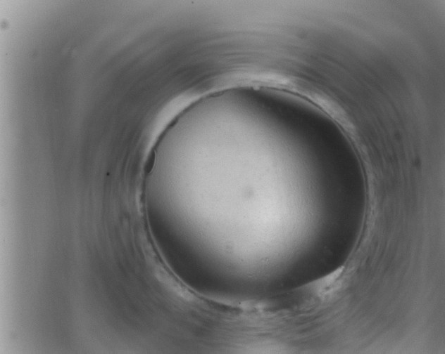 X0000063530912200601271858