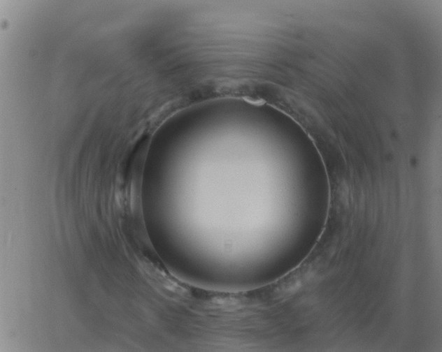 X0000063530914200601271857