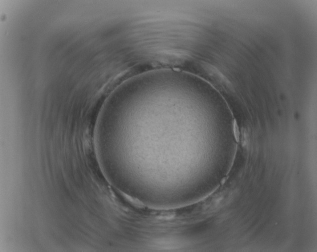 X0000063530915200601271857