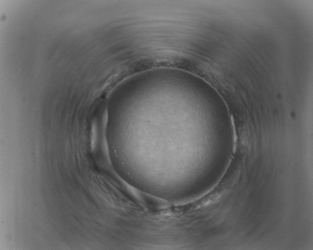 X0000063530916200601271857