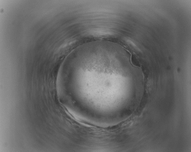 X0000063530917200601271857