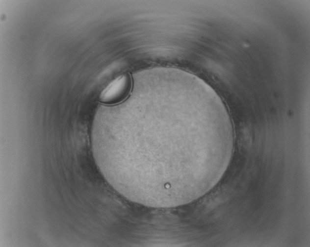 X0000063530918200601271857