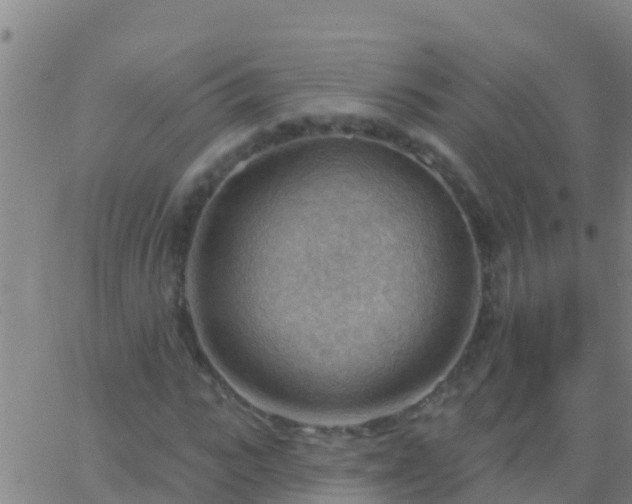 X0000063530919200601271857