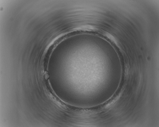 X0000063530923200601271857