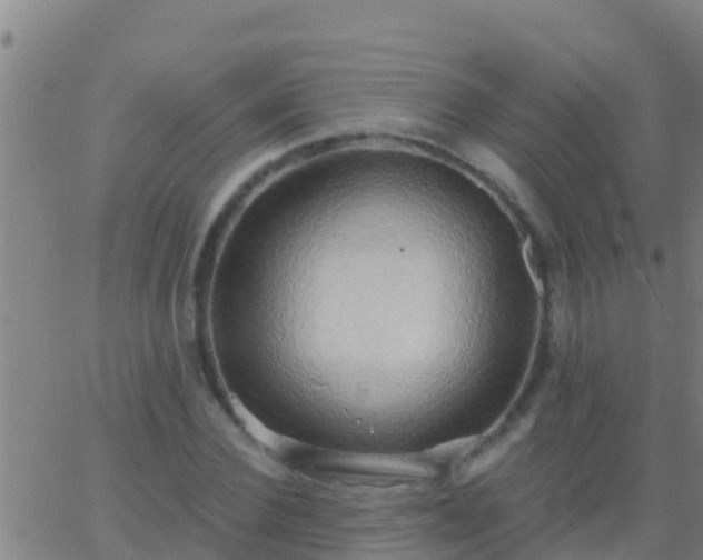 X0000063530924200601271857