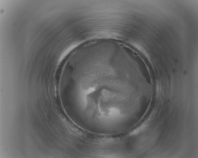 X0000063530925200601271857