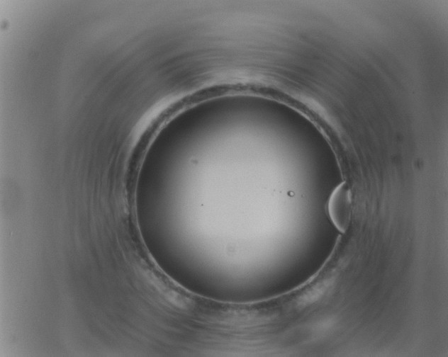 X0000063530927200601271857