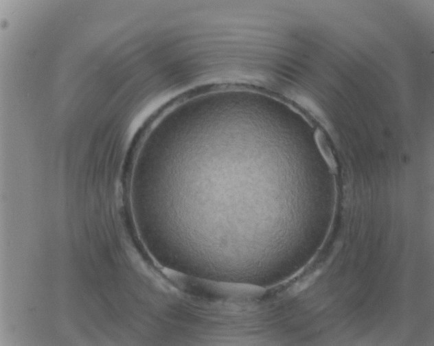 X0000063530928200601271857