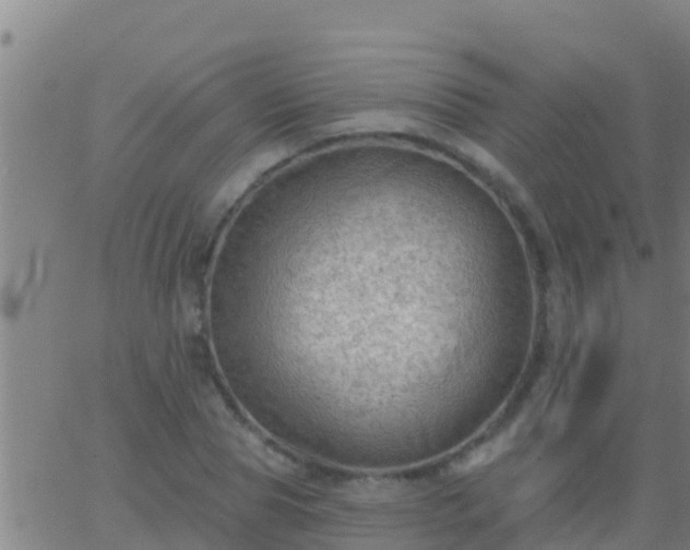 X0000063530929200601271857