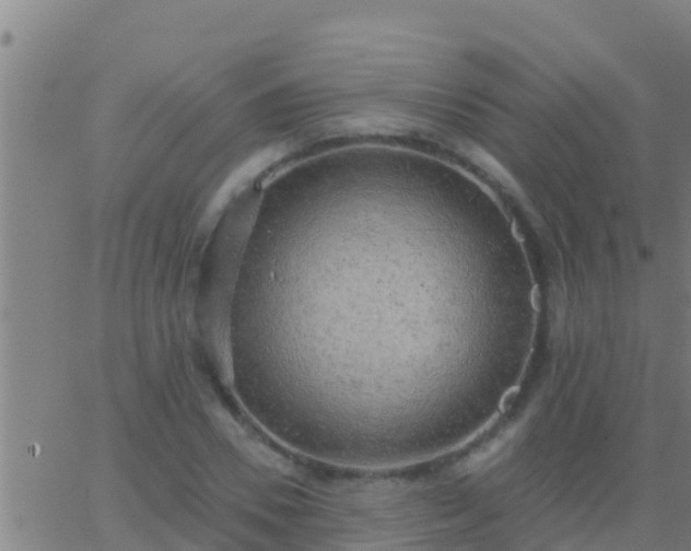 X0000063530930200601271857