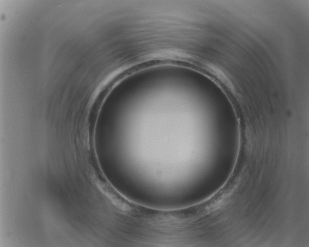 X0000063530931200601271857