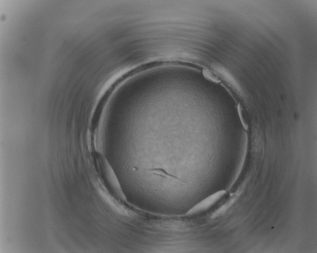 X0000063530932200601271857