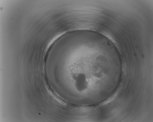 X0000063530933200601271857