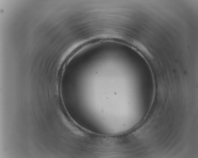 X0000063530934200601271857