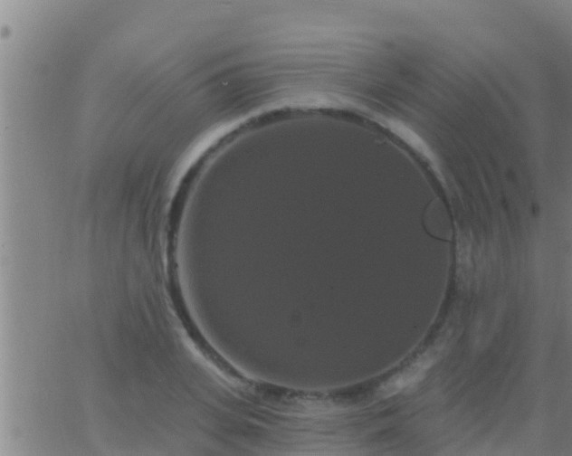 X0000063530935200601271857