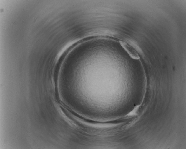 X0000063530936200601271857