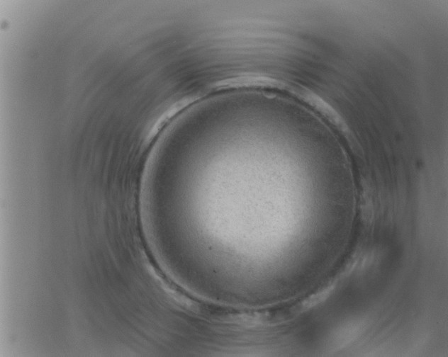 X0000063530937200601271857