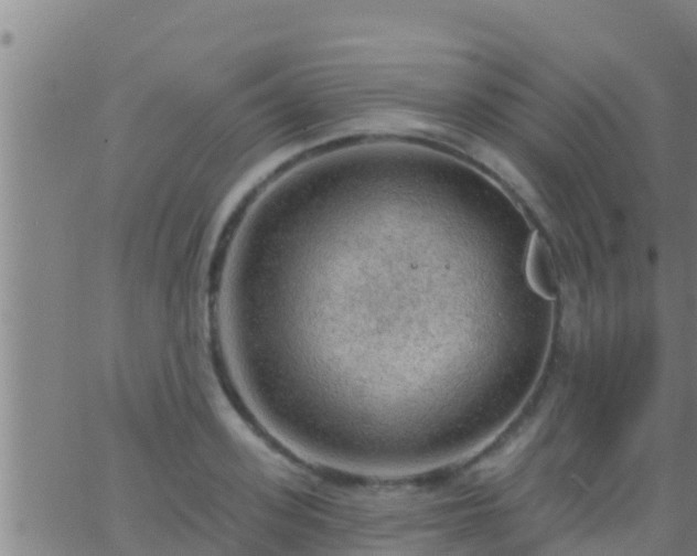 X0000063530939200601271857