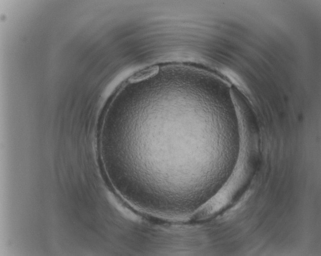 X0000063530942200601271857