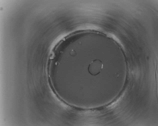 X0000063530943200601271857