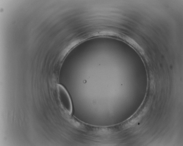 X0000063530945200601271857