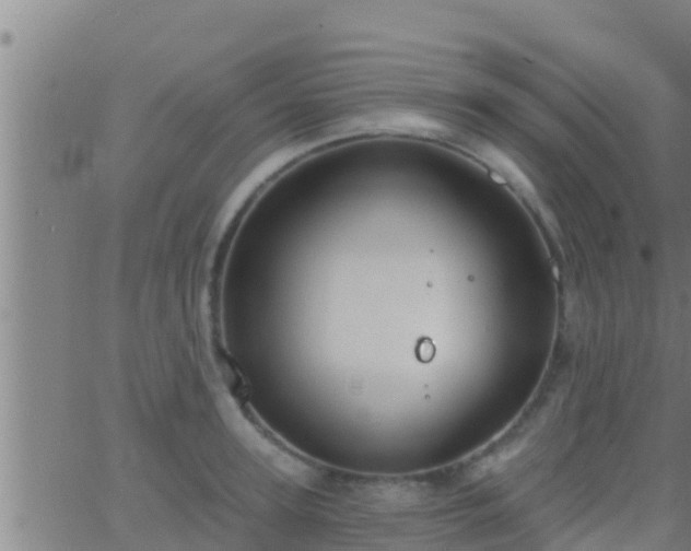 X0000063530947200601271857