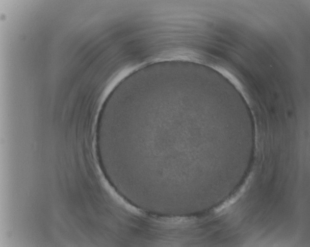 X0000063530949200601271857