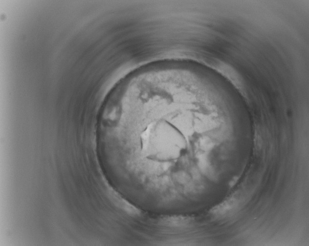 X0000063530950200601271857