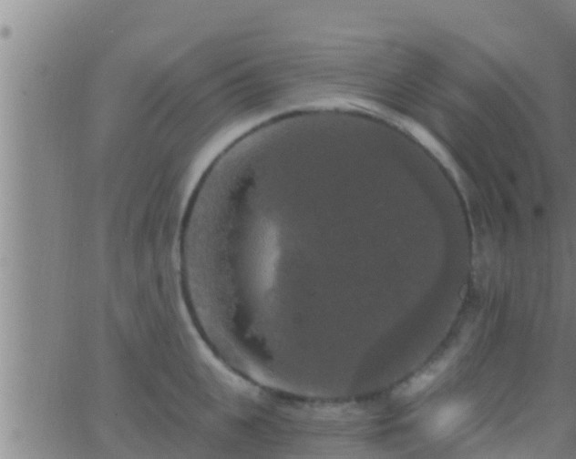 X0000063530951200601271858