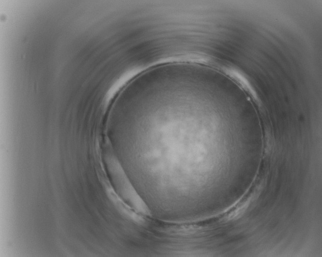 X0000063530952200601271858