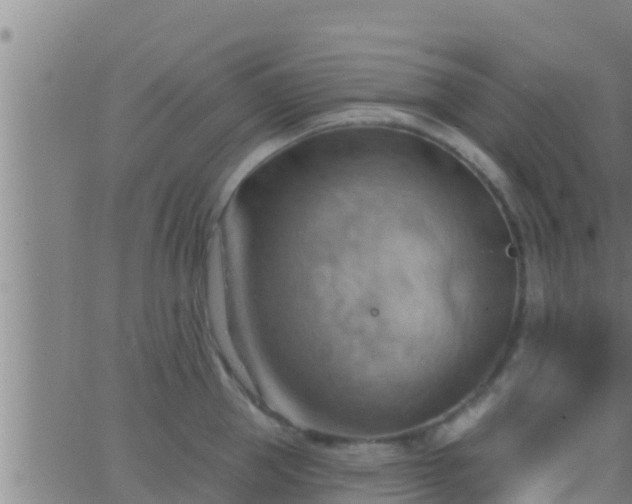 X0000063530953200601271858