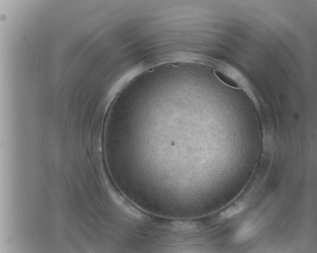 X0000063530954200601271858