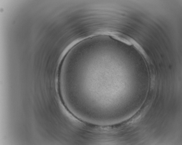 X0000063530955200601271858