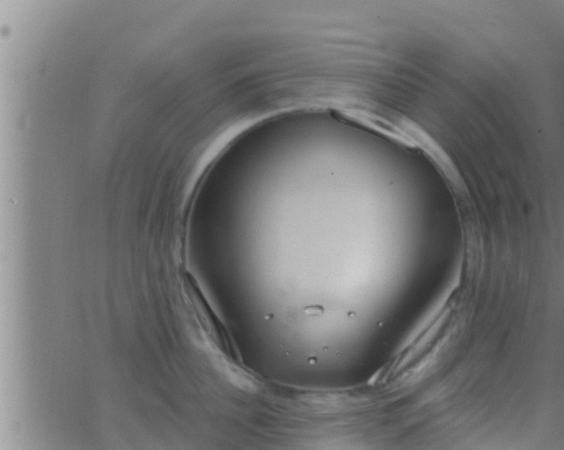 X0000063530956200601271858