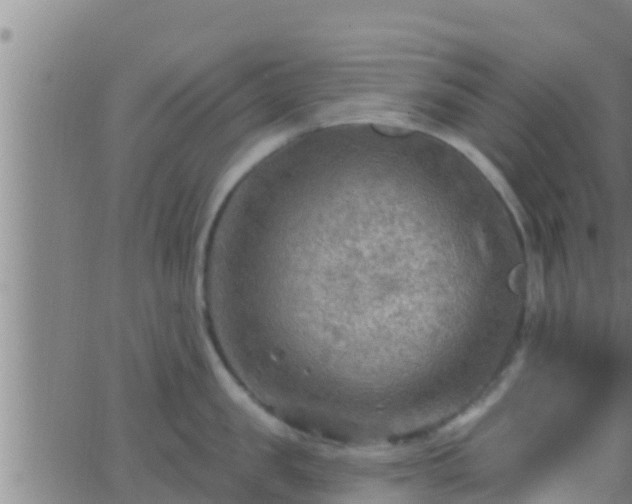 X0000063530957200601271858