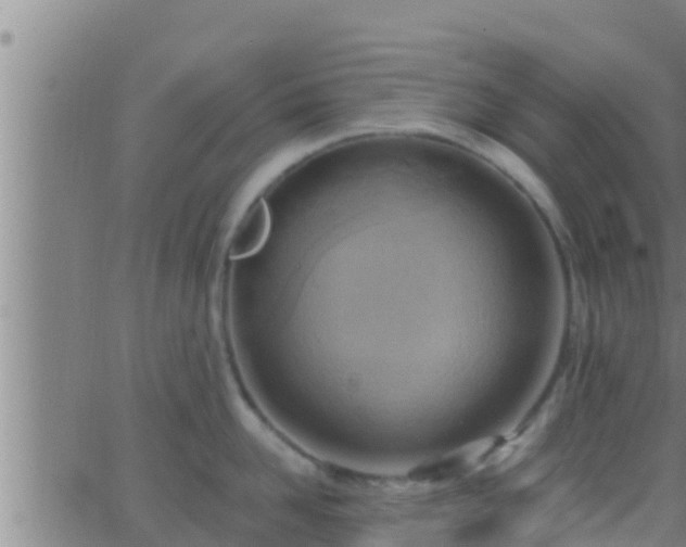 X0000063530958200601271858