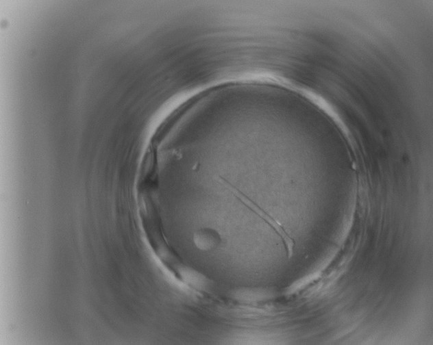 X0000063530959200601271858