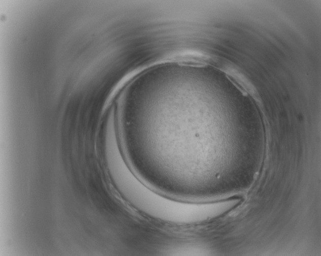 X0000063530960200601271858