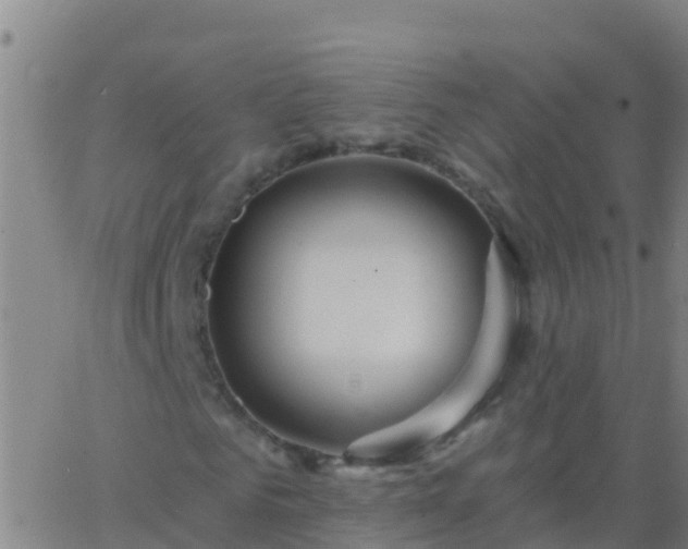 X0000063530961200601271857