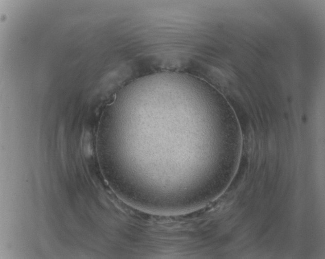 X0000063530962200601271857