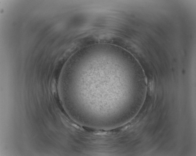 X0000063530963200601271857